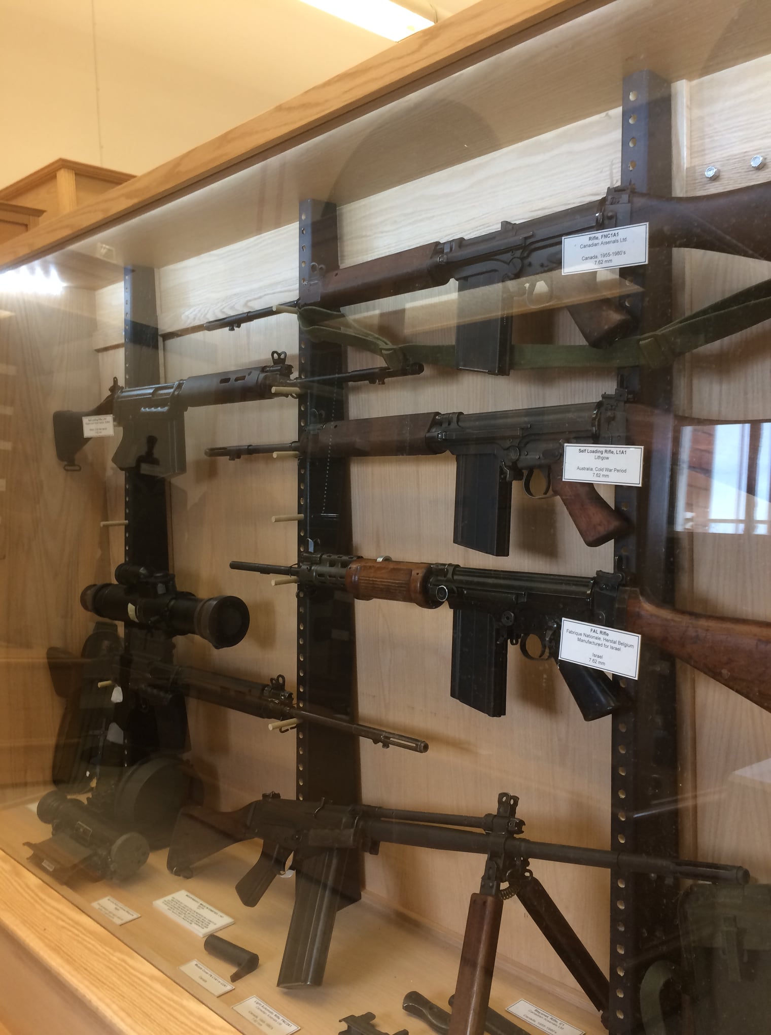 Ceilidh Celebrations